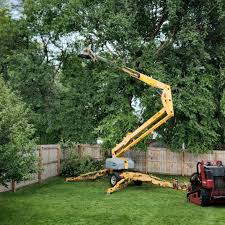 Lawn Pest Prevention in Sweetwater, TX